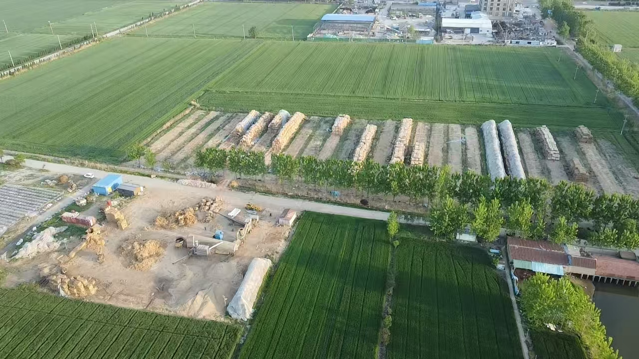 江苏东海县30亩基本农田被非法占用建草料场 居民举报多年未果